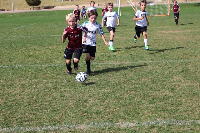 篮球智商 篮球智商