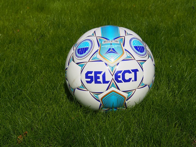 的真正国家 的真正国家