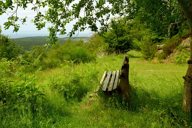 他为团队提 他为团队提