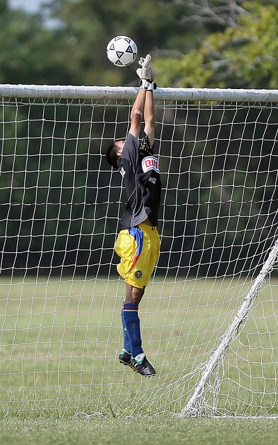 多变化之一 多变化之一