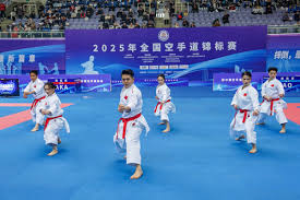 迷的关注 迷的关注